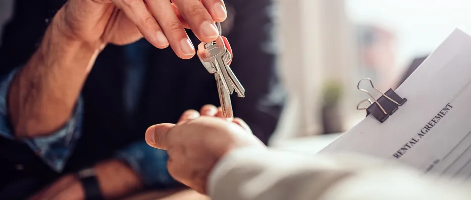 Professional property management